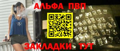 бошки Кингисепп