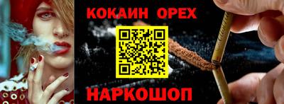 бошки Кингисепп