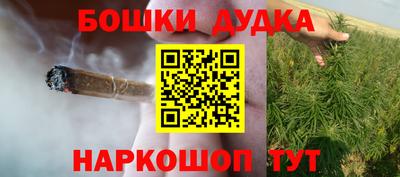 бошки Кингисепп