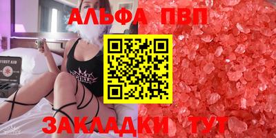 бошки Кингисепп