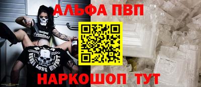 бошки Кингисепп
