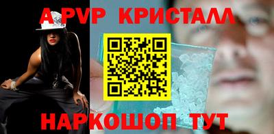 бошки Кингисепп
