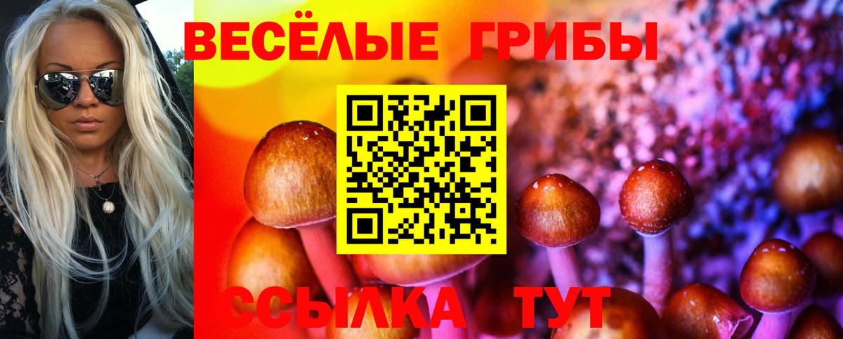 Алапаевск  Галлюциногенные грибы MAGIC MUSHROOMS  Вход с VPN  Галлюциногенные грибы Cubensis 
